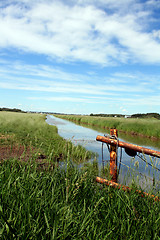 Image showing Down the Creek