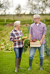 Image showing senior couple with box of vegetables on farm