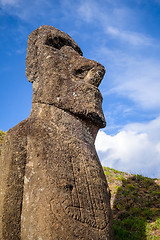 Image showing Moai statue on Rano Raraku volcano, easter island