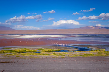 Image showing Laguna colorada in sud Lipez Altiplano reserva, Bolivia