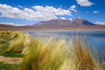 Image showing Altiplano laguna in sud Lipez reserva, Bolivia