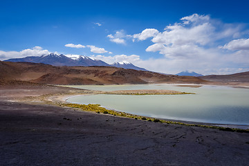 Image showing Laguna Honda in sud Lipez Altiplano reserva, Bolivia