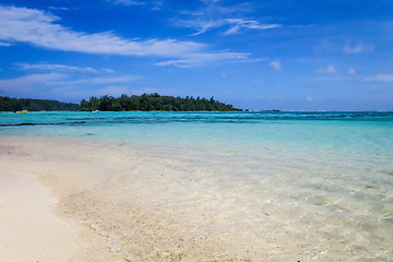 Image showing Tropical white sand beach and lagoon in Moorea Island