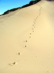 Image showing Climbing Sanddunes