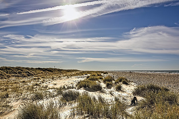 Image showing Skagen west coast, Denmark
