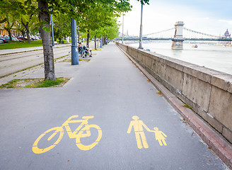 Image showing Bicycle signs painted on asphalt