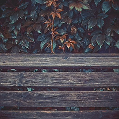 Image showing Wet Autumn Leaves Over Wooden Planks