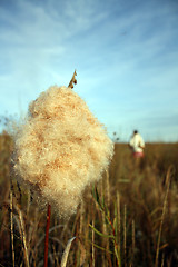 Image showing An Autumn Walk