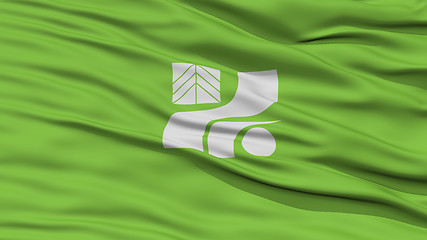 Image showing Closeup Tochigi Japan Prefecture Flag