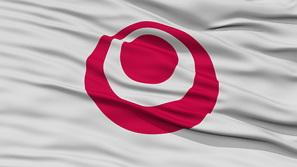 Image showing Closeup Okinawa Japan Prefecture Flag