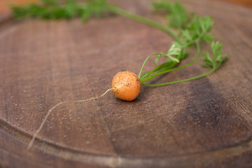 Image showing baby carrot on a chopping board
