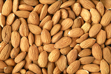 Image showing Background made of almonds