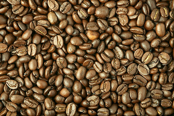 Image showing Background made of coffee beans