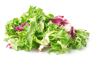 Image showing Bunch of crispy mixed leaf