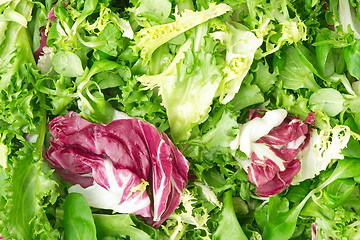 Image showing Background made of crispy mixed leaf