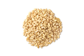 Image showing Pile of pine nut kernels