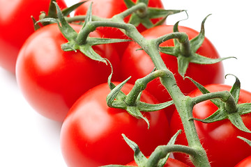 Image showing Bunch of tomatoes on the vine