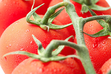 Image showing Vine tomatoes closeup