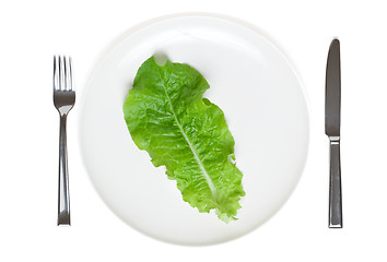 Image showing single lettuce leaf on a plate