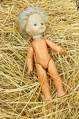 Image showing doll lost on the hay