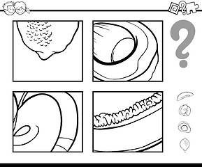 Image showing guess fruits coloring book