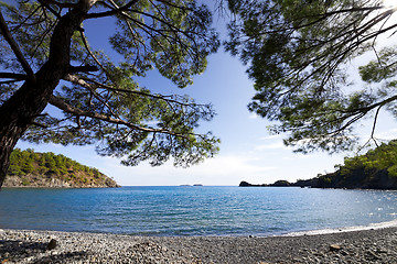 Image showing Calm bay and pebbly deserted beach with shadow from pine trees a