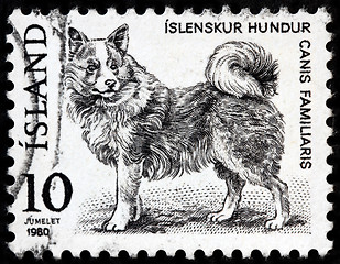 Image showing Domestic Dog Stamp