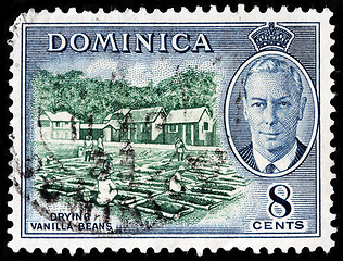 Image showing Vintage Dominica Stamp