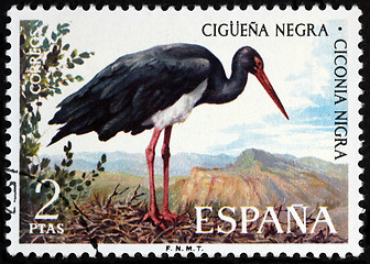 Image showing Black Stork Stamp