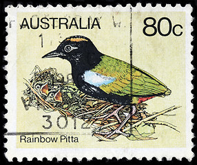 Image showing Rainbow Pitta Stamp