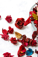 Image showing Close up on dried leaves and rose