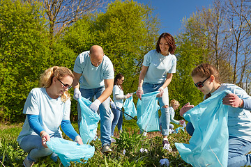 Image showing volunteers with garbage bags cleaning park area