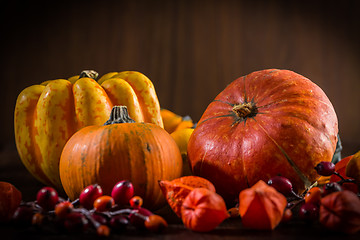 Image showing Pumpkin still life for Thanksgiving 