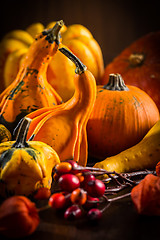 Image showing Pumpkin still life for Thanksgiving 