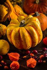 Image showing Pumpkin still life for Thanksgiving 