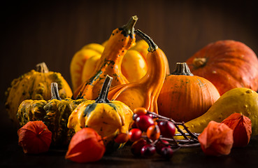 Image showing Pumpkin still life for Thanksgiving 