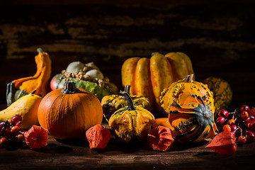 Image showing Pumpkin still life for Thanksgiving 