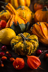 Image showing Pumpkin still life for Thanksgiving 