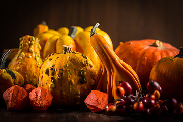 Image showing Pumpkin still life for Thanksgiving 