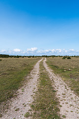 Image showing Country road straight into an open landscape