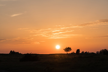 Image showing Colorful sunset by a plain grassland 