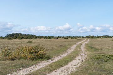 Image showing Winding dirt road in wilderness