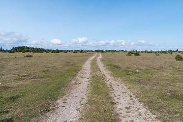 Image showing Dirt road straight into a wide open flatland