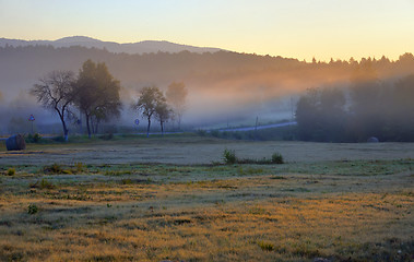 Image showing Mystic foggy landscape 