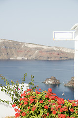 Image showing volcanic island seaview with flowers geranium greek islands