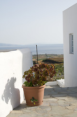 Image showing aegean sea view with cactus greek islands