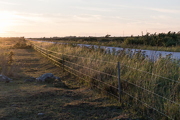 Image showing Sunlit fence by roadside