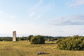 Image showing Ancient monument among junipers in a great plain grassland