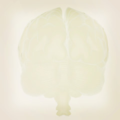 Image showing 3D illustration of human brain. Vintage style.