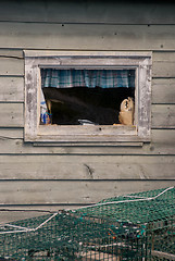 Image showing Peggy's Cove